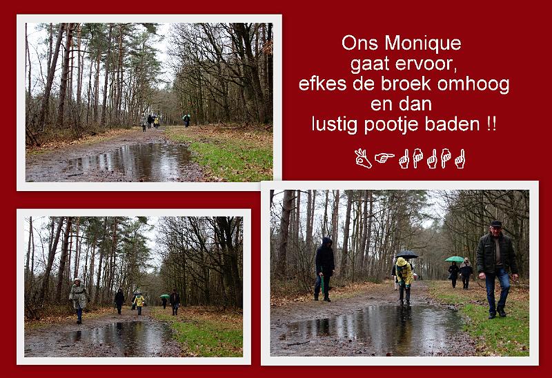 MG Winterwandeling_ (121).jpg